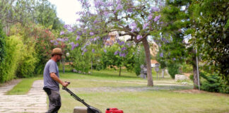 SE NECESITAN AYUDANTES DE JARDINERÍA (CON O SIN EXPERIENCIA), LABORES GENERALES. INCORPORACIÓN INMEDIATA Ayudantes De Jardinería garden helpers