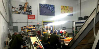 Empacadores/as De Frutas y Verduras fruit and vegetable packers