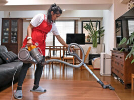 Empleada Doméstica domestic employee
