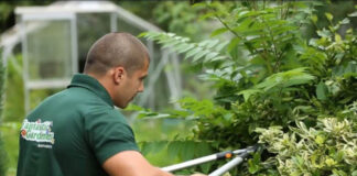 SE NECESITA JARDINERO (EXPERIENCIA MÍNIMA), TIEMPO PARCIAL O COMPLETO. INCORPORACIÓN INMEDIATA Jardinero Gardener
