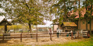 SE NECESITA OPERARIO/A PARA GRANJA DE ANIMALES (MÍNIMA EXPERIENCIA), TURNO PARTIDO. BUEN SUELDO Operario/a Para Granja De Animales animal farm operators