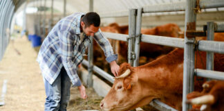 SE SOLICITA PEÓN/A AGRÍCOLA CON O SIN EXPERIENCIA, INCORPORACIÓN INMEDIATA. EXCELENTE REMUNERACIÓN Peón/a Agrícola agricultural laborer
