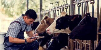 SE PRECISA PEÓN/A PARA FINCA DE GANADO (EXPERIENCIA MÍNIMA), CONTRATO POR SEIS MESES. BUENA REMUNERACIÓN Peón/a Para Finca De Ganado laborer for cattle farm
