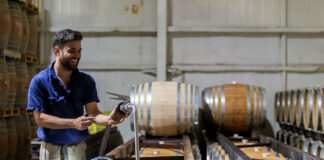 SE SOLICITAN PEONES/AS PARA VIÑEDO Y BODEGA (9 VACANTES), NO SE REQUIERE EXPERIENCIA. BUEN PAGO Peones/as Para Viñedo y Bodega laborers for vineyard and winery