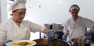 SE NECESITA PERSONAL PARA GERIÁTRICO CON O SIN EXPERIENCIA (MUCAMA Y COCINERA), 2 PUESTOS Personal Para Geriátrico geriatric staff