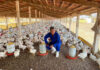 SE SOLICITAN TRABAJADORES PARA GRANJA AVÍCOLA (NO REQUIERE EXPERIENCIA), PAGO $23,00 POR HORA Trabajadores Para Granja Avícola Workers For Poultry Farm