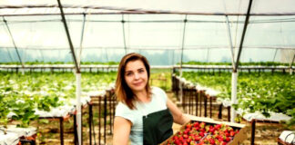 SE NECESITAN 30 TRABAJADORES/AS PARA INVERNADERO (CULTIVO DE VEGETALES), NO SE REQUIERE EXPERIENCIA Trabajadores/as Para Invernadero greenhouse workers