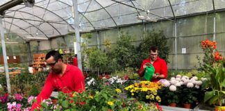 SE NECESITAN 9 TRABAJADORES/AS PARA VIVERO (NO SE REQUIERE EXPERIENCIA), SE ENTRENARÁ. BUEN PAGO Trabajadores/as Para Vivero nursery workers