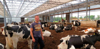 Ayudantes Para Granja Lechera dairy farm helpers
