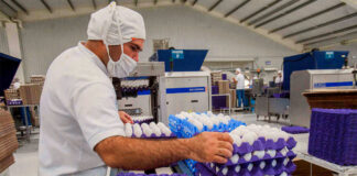 SE SOLICITA EMPACADORES/AS DE HUEVOS PARA GRANJA FAMILIAR (NO REQUIERE EXPERIENCIA), TURNOS DE 8 HORAS Empacadores/as De Huevos egg packers