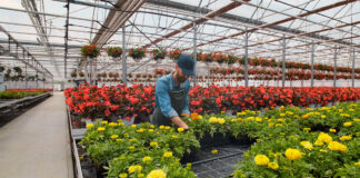 Trabajadores Para Invernadero Greenhouse Workers