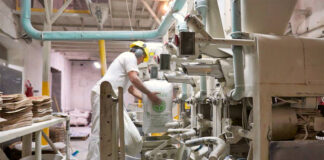 SE SOLICITA EMPACADORES/AS CON O SIN EXPERIENCIA (EMPAQUE DE HARINA), HORARIOS FLEXIBLES PART TIME Y FULL TIME Empacadores/as packers empaque de harina hombres y mujeres