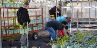 SE NECESITAN 28 EMPLEADOS/AS PARA VIVERO DE PLANTAS (POCA EXPERIENCIA). 1ER TURNO, 40 HORAS SEMANALES Empleados/as Para Vivero De Plantas Plant Nursery Employees