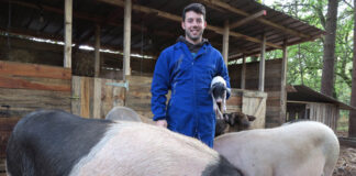 SE NECESITAN PEONES/AYUDANTES PARA GRANJA DE CERDOS, NO REQUIERE EXPERIENCIA. SE ENTRENARÁ Peones/Ayudantes Para Granja De Cerdos pig farm laborers/helpers