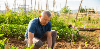 SE SOLICITAN PEONES/AS AGRÍCOLAS PARA HUERTA ECOLÓGICA (CON O SIN EXPERIENCIA), BUEN PAGO POR HORA Peones/as Agrícolas agricultural laborers