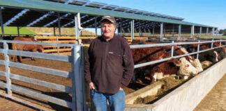 SE BUSCA TRABAJADOR/A PARA GRANJA DE GANADO (MÍNIMA EXPERIENCIA), TURNO PARTIDO. INGRESO INMEDIATO Trabajador/a Para Granja De Ganado Livestock Farm Worker