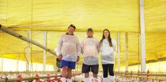 SOLICITAMOS TRABAJADORES PARA GRANJA AVÍCOLA (CON O SIN EXPERIENCIA), LABORES GENERALES Trabajadores Para Granja Avícola Poultry Farm Workers