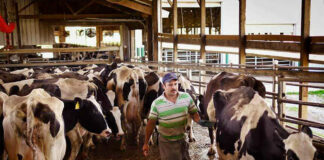 SE SOLICITAN 4 TRABAJADORES/AS DE GANADERÍA, JORNADA INTENSIVA DE 7:00 A 15:00 HS Trabajadores/as De Ganadería livestock worker