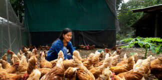 SELECCIONAMOS TRABAJADORES/AS PARA RANCHO DE ANIMALES (POCA EXPERIENCIA), 40 HORAS SEMANALES. BUEN PAGO Trabajadores/as Para Rancho De Animales animal ranch worker