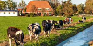 SE SOLICITAN TRABAJADORES/AS PARA RANCHO (LABORES MIXTAS), NO ES NECESARIA EXPERIENCIA Trabajadores/as Para Rancho ranch worker