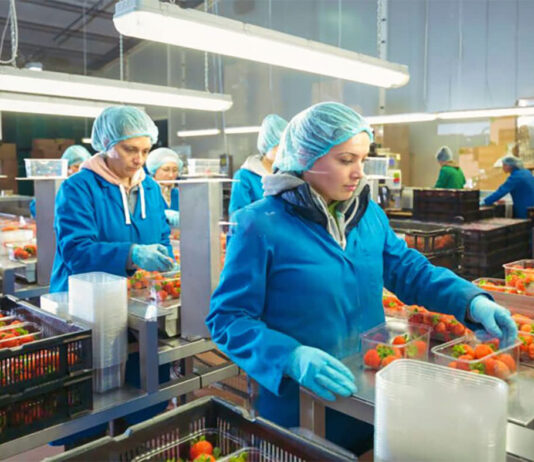 Ayudante De Elaboración y Envasado preparation and packaging assistant