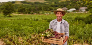 SE INCORPORAN 40 COSECHADORES/AS PARA GRANJA (NO ES NECESARIO EXPERIENCIA), BUEN PAGO POR HORA Cosechadores/as Para Granja farm harvest