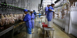 SE SOLICITA OPERARIO DE PRODUCCIÓN/DESHUESADOR DE POLLO (MÍNIMA EXPERIENCIA), BUEN PAGO Operario De Producción/Deshuesador De Pollo Production Operator/Chicken Boren