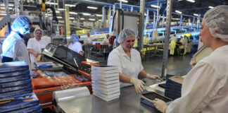 SE NECESITAN OPERARIOS/AS DE ENVASADO (2 VACANTES), TURNOS ROTATIVOS MAÑANA, TARDE O NOCHE DE LUNES A VIERNES Operarios/as De Envasado packaging operators