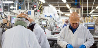 SE SOLICITA PERSONAL DE PRODUCCIÓN PARA EMPRESA DE ALIMENTOS (MÍNIMA EXPERIENCIA), REMUNERACIÓN COMPETITIVA Personal De Producción production staff