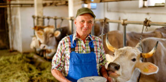 SE SOLICITA PERSONAL PARA GRANJA LECHERA CON O SIN EXPERIENCIA (4 VACANTES), SE OFRECE ALOJAMIENTO Y BUEN PAGO Personal Para Granja Lechera dairy farm worker
