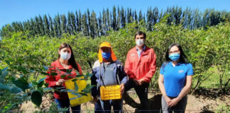 SE BUSCA TRABAJADOR AGRÍCOLA PARA GRANJA (CON O SIN EXPERIENCIA, SE ENTRENARÁ), BUEN SUELDO, ALOJAMIENTO Y BENEFICIOS Trabajador Agrícola Para Granja agricultural worker for farm