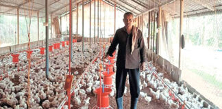 SE NECESITAN 8 TRABAJADORES/AS PARA GRANJA AVÍCOLA (CON O SIN EXPERIENCIA), REMUNERACIÓN COMPETITIVA Trabajadores/as Para Granja farm worker