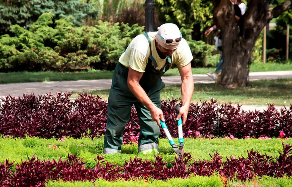 Trabajador de jardinería en houston