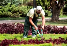 SE BUSCAN 348 TRABAJADORES/AS DE JARDINERÍA Y PAISAJISMO PARA YELLOWSTONE LANDSCAPE EN HOUSTON, TEXAS (SIN EXPERIENCIA, H-2B TEMPORAL), 40 HORAS SEMANALES. PAGO DE $18.08 POR HORA Ayudantes/Obreros Para Proyectos De Paisaje Helpers/Workers For Landscape Projects