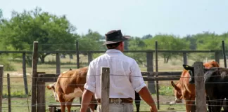 SE SOLICITAN 2 AYUDANTES PARA RANCHO (OPERACIONES GANADERAS Y AGRÍCOLAS), SE PROPORCIONARÁ TRANSPORTE Y BUEN PAGO Ayudantes Para Rancho ranch helper