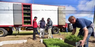 SE SOLICITAN 6 CONDUCTORES DE CAMIONES PARA VIVERO (POCA EXPERIENCIA), 1ER TURNO. INCORPORACIÓN INMEDIATA Conductores De Camiones Para Vivero nursery truck drivers