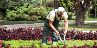 SE NECESITA JARDINERO (MÍNIMA EXPERIENCIA), LABORES GENERALES DE MANTENIMIENTO DE JARDINES. REMUNERACIÓN COMPETITIVA Jardinero gardener