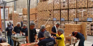 SE SOLICITA OPERARIOS/AS PARA EMPAQUE, ETIQUETADO Y CARGA/DESCARGA. NO ES NECESARIO EXPERIENCIA NI ESTUDIOS Operarios/as Para Empaque, Etiquetado y Carga/Descarga Operators for Packaging, Labeling and Loading/Unloading