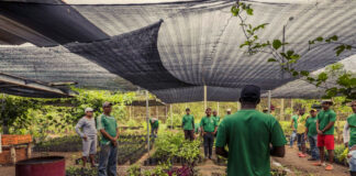SE REQUIEREN PEÓN/A PARA VIVERO DE PLANTAS (150 VACANTES), POCA EXPERIENCIA. BUEN PAGO Peón/a Para Vivero De Plantas laborer for plant nursery