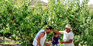 SOLICITAMOS 5 PEONES/AS AGRÍCOLAS PARA GRANJA (CULTIVO COMBINADO DE FRUTAS Y HORTALIZAS). SE OFRECE ALOJAMIENTO Y BUEN PAGO Peones/as Agrícolas Para Granja agricultural farm laborers
