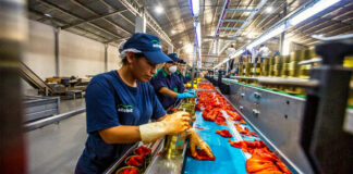 SE NECESITA PERSONAL DE PRODUCCIÓN PARA EMPRESA DE ALIMENTOS (CON O SIN EXPERIENCIA), 1ER TURNO 4 DÍAS A LA SEMANA Personal De Producción production staff