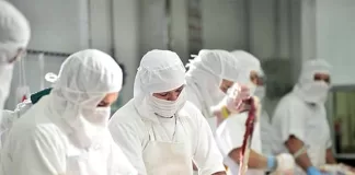 SE REQUIERE PERSONAL PARA ENVASADO DE CARNE (MÍNIMA EXPERIENCIA), BUEN PAGO Personal Para Envasado De Carne meat packaging saff