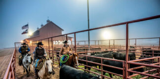 SE NECESITAN 19 TRABAJADORES/AS PARA RANCHO (PRODUCCIÓN DE GANADO Y HENO), POCA EXPERIENCIA Trabajadores/as Para Rancho ranch worker