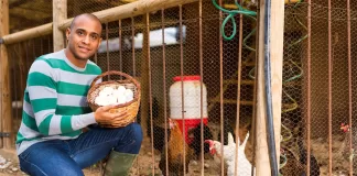 SE PRECISA PEÓN/A AVÍCOLA PARA GRANJA (20 HORAS SEMANALES), POCA EXPERIENCIA. BUEN SUELDO Peón/a Avícola Para Granja poultry farm worker