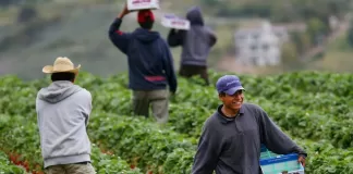 SE SOLICITA PEÓN/A DE CAMPO PARA FINCA (LABORES AGRÍCOLAS), NO SE REQUIERE EXPERIENCIA Peón/a De Campo Para Finca farm worker