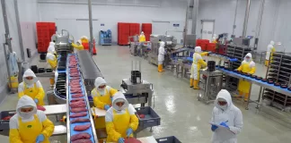 SE NECESITA PERSONAL DE PRODUCCIÓN PARA INDUSTRIA CÁRNICA (CON O SIN EXPERIENCIA), TURNO DIURNO Personal De Producción production staff