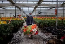 SE SOLICITAN 25 TRABAJADORES/AS PARA INVERNADERO (POCA EXPERIENCIA), 1ER TURNO. BUENA REMUNERACIÓN Trabajadores/as Para Invernadero greenhouse worker