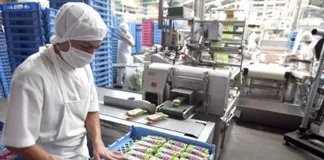 SE SOLICITA AYUDANTE DE PLANTA (EMPAQUE), PARA EMPRESA DE ALIMENTOS. REMUNERACIÓN COMPETITIVA Ayudante De Planta plant assistant