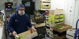 SE BUSCA ENVASADORES/AS DE HORTALIZAS (MÍNIMA EXPERIENCIA), DISPONIBILIDAD HORARIA. BUEN SALARIO Envasadores/as De Hortalizas vegetable packers