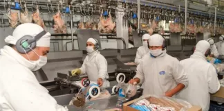 SE NECESITA OPERARIO/A DE PRODUCCIÓN PARA EMPRESA AVÍCOLA (30 HORAS SEMANALES), BUEN PAGO POR HORA Operario/a De Producción production operators